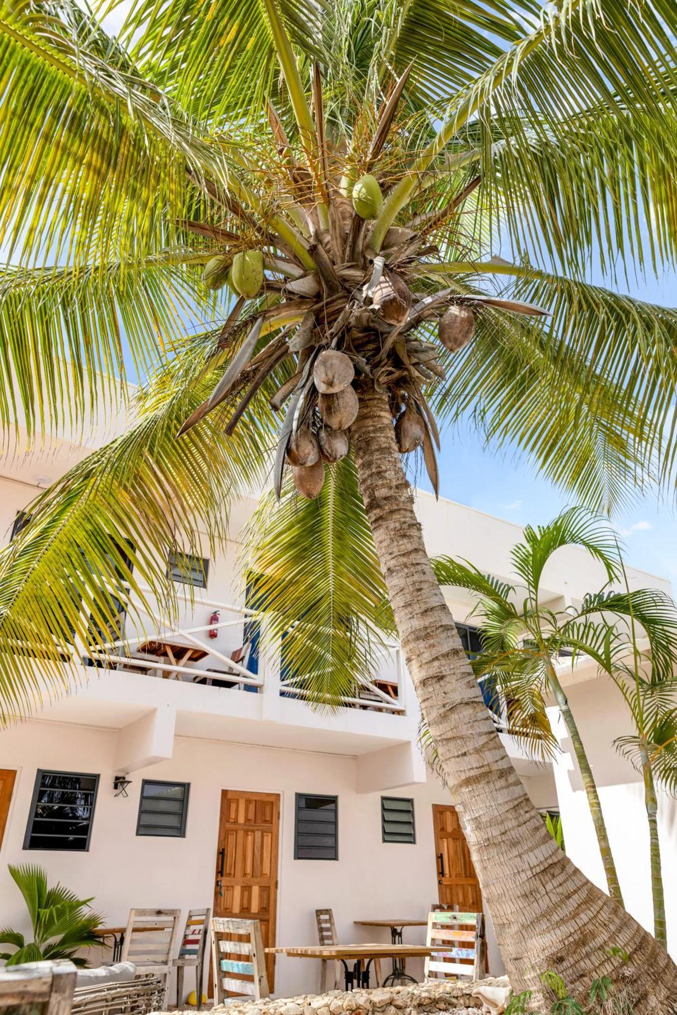 Отель The Hut Bonaire Кралендейк Экстерьер фото